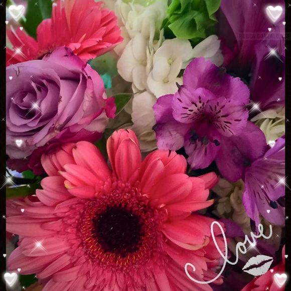 Meet your Posher, Michelle - Picture 1 of 1